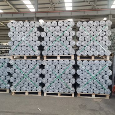 china factory hexagonal wire netting